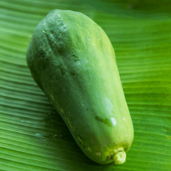 Green Papaya