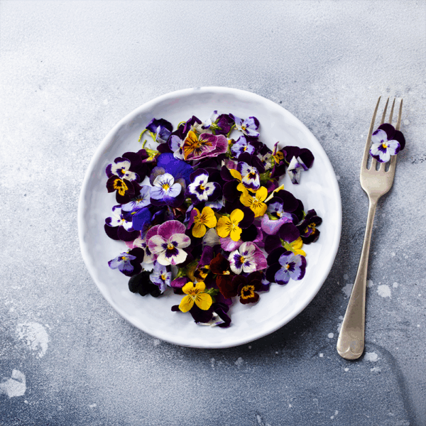Edible Flowers