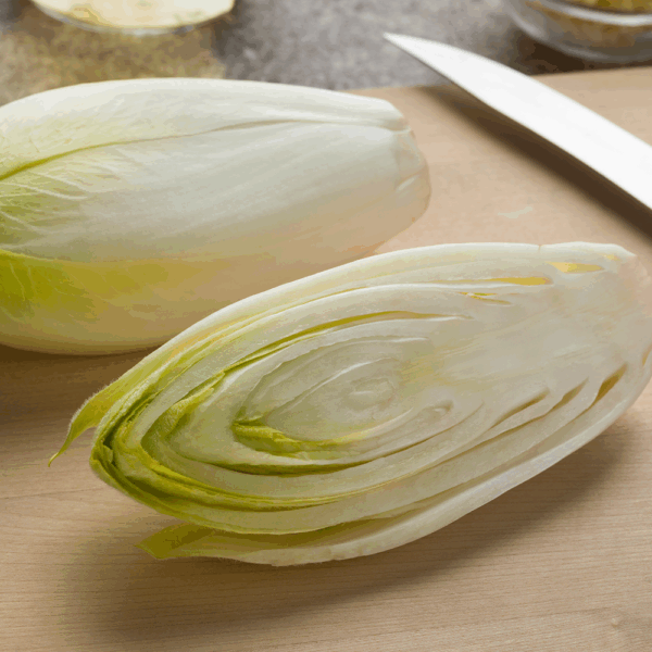 Chicory (White)