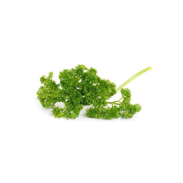 Curly Parsley - Image 2