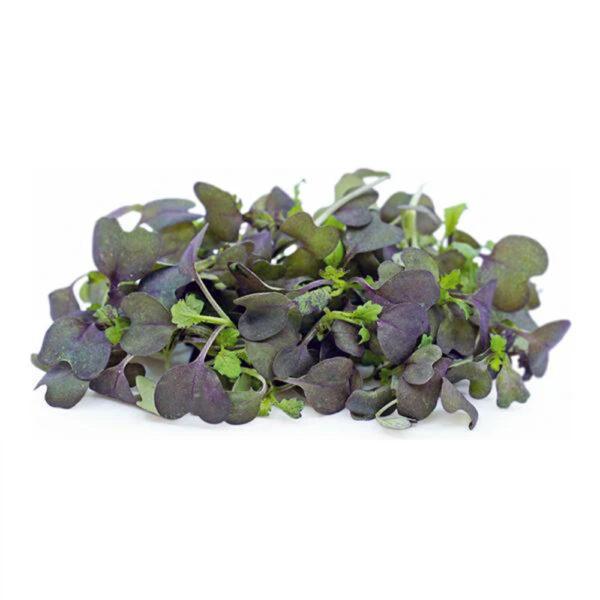 Micro Red Mustard - Image 2