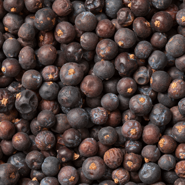 Juniper Berries