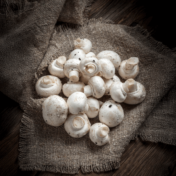 Button Mushroom