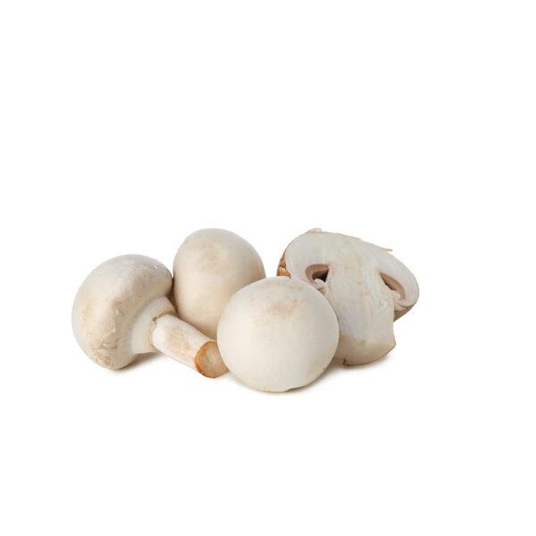 Button Mushroom - Image 2