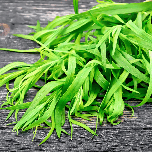 Tarragon