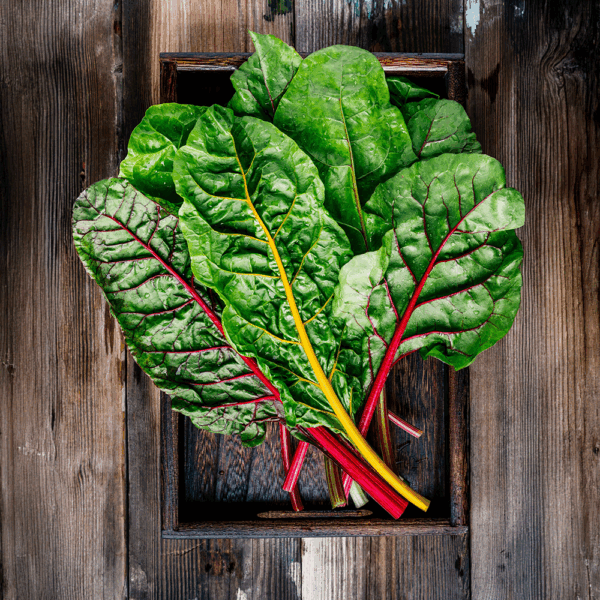 Rainbow Chard (Mixed) - Image 2