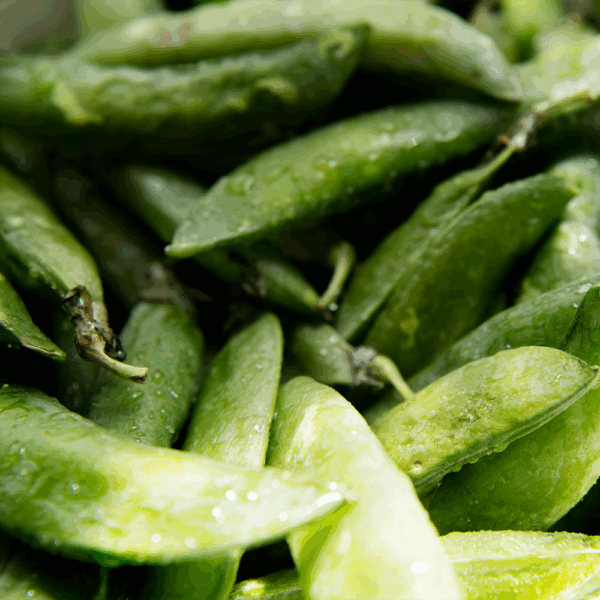 Fresh Peas in the Pod - Image 2
