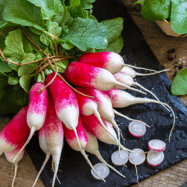 Breakfast Radishes - Image 2