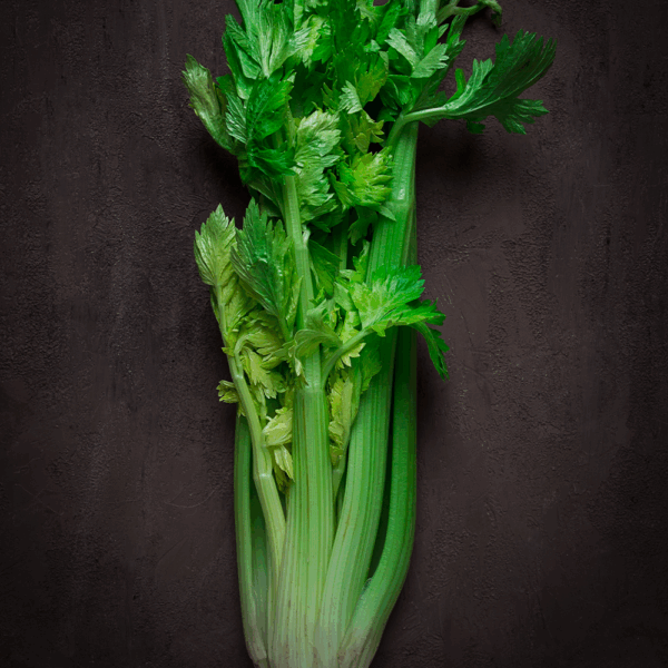 Celery
