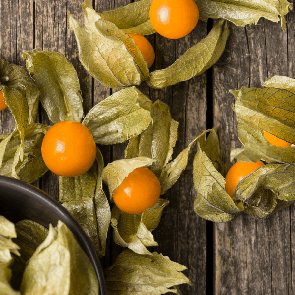 Physalis - Image 2