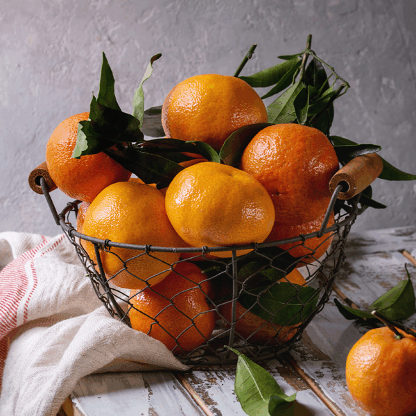 Clementines Nadacots - Image 2