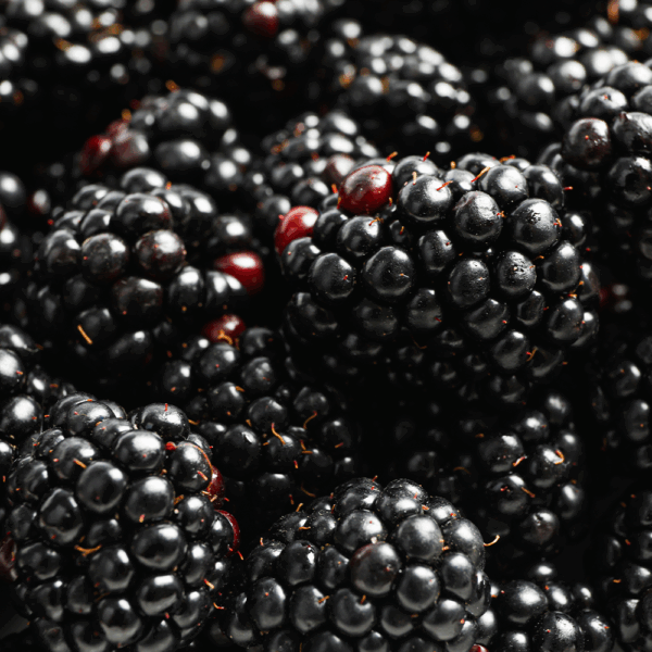 English Blackberries