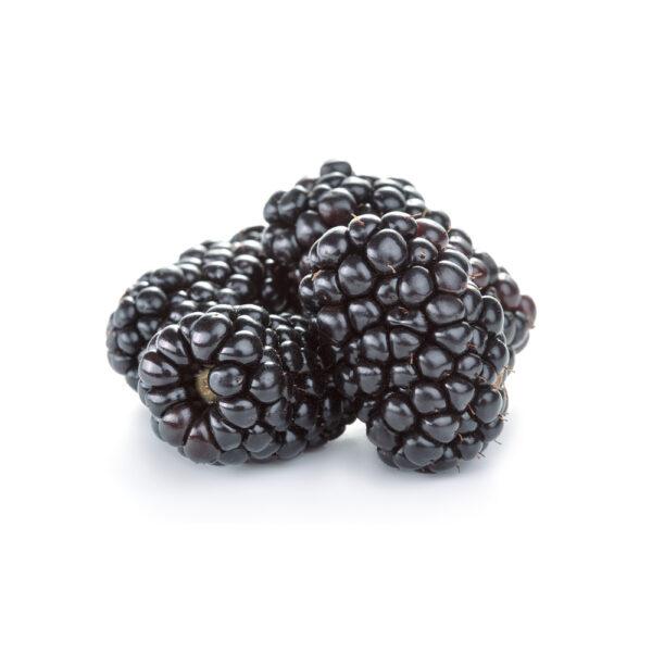 English Blackberries - Image 2