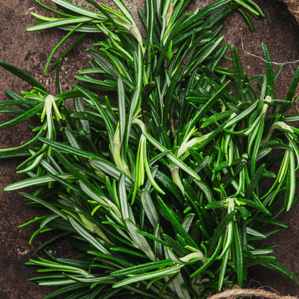 Rosemary - Image 2