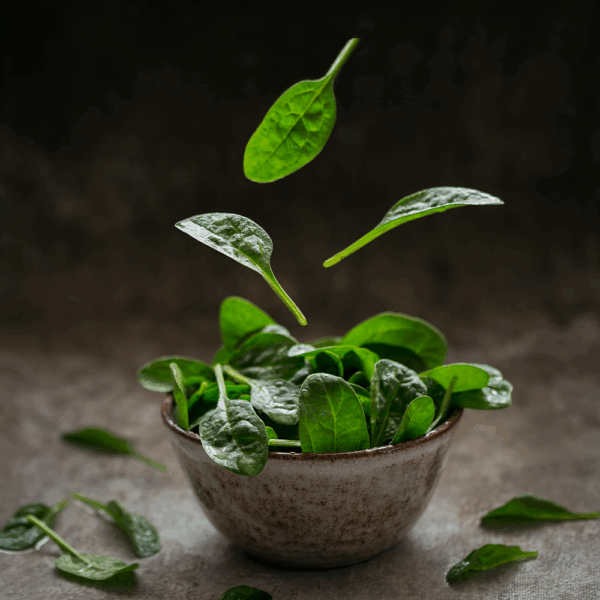 Pousse (Baby Spinach)