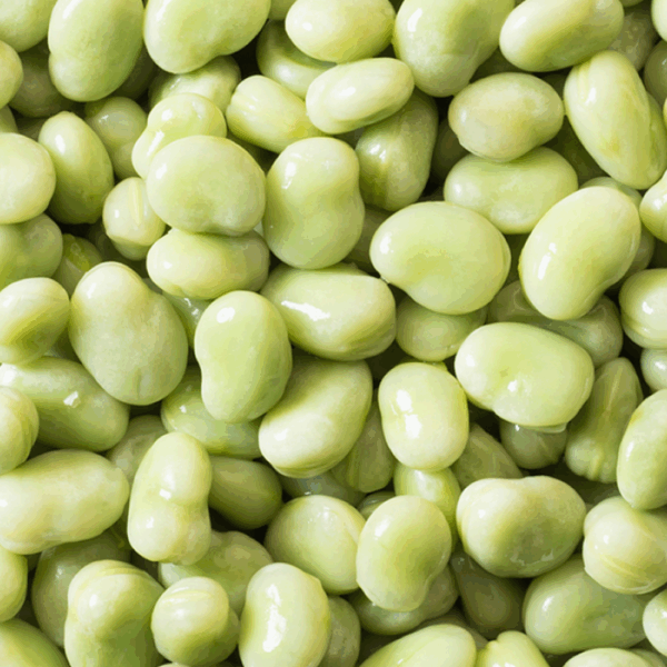 Broad Beans