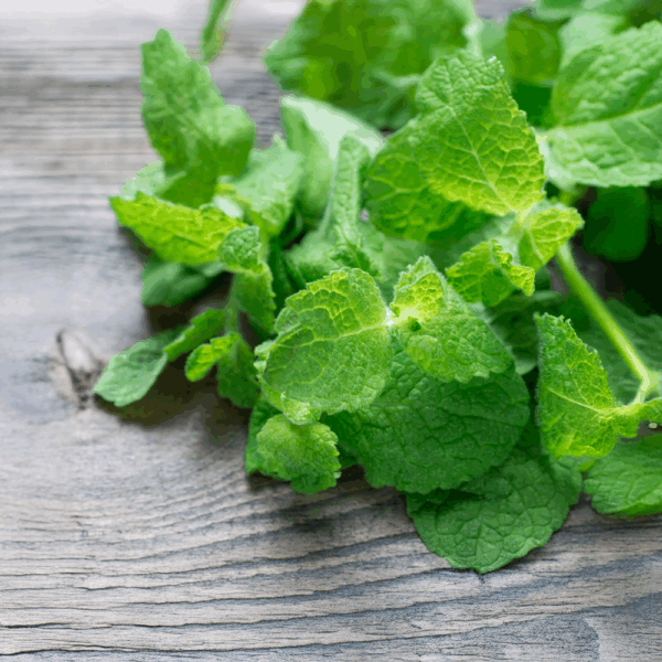 Micro Mint