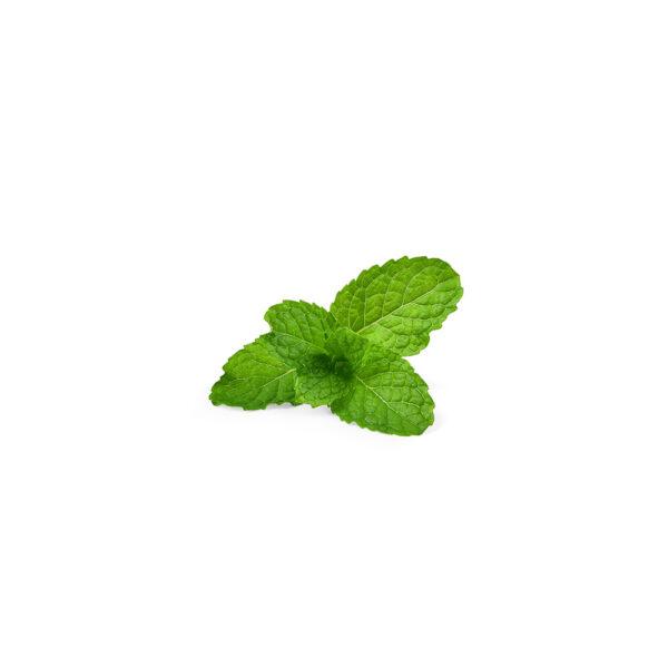 Micro Mint - Image 2