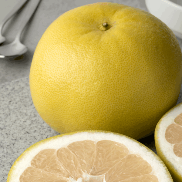 White Grapefruit