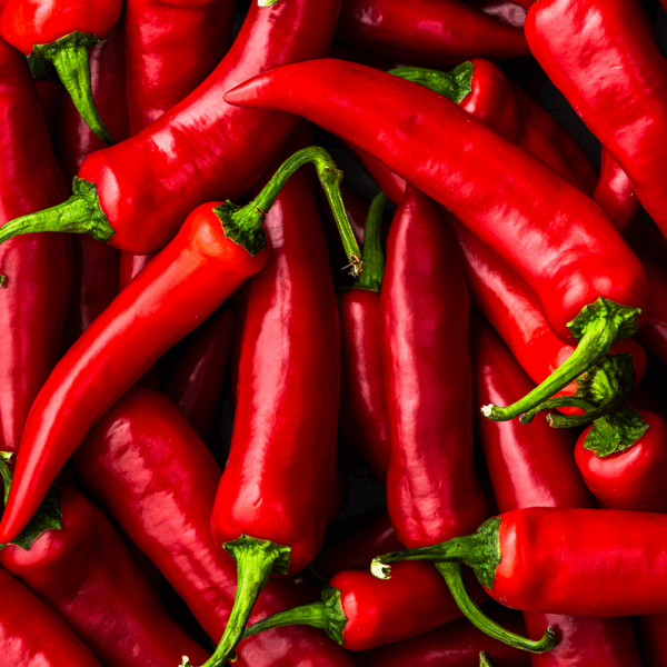 Red Chillies
