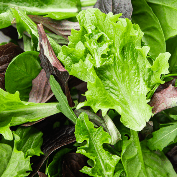 Mixed Baby Leaves - Image 2
