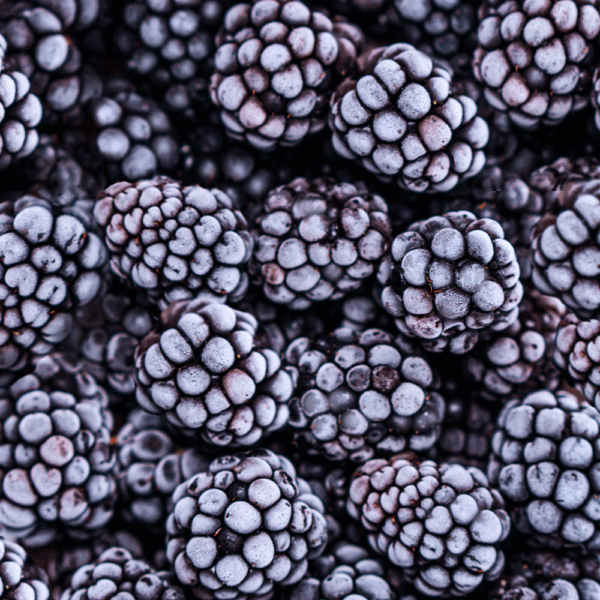 Frozen Blackberries