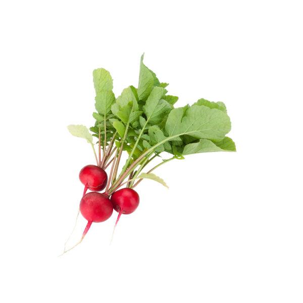 Radishes - Image 2