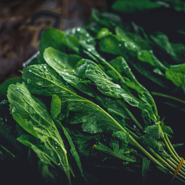 Spinach (Large Leaf)