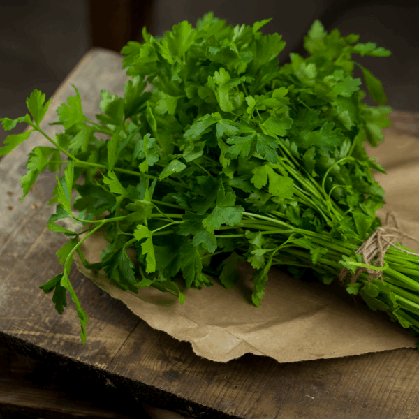 Fresh Flat Parsley - Image 2