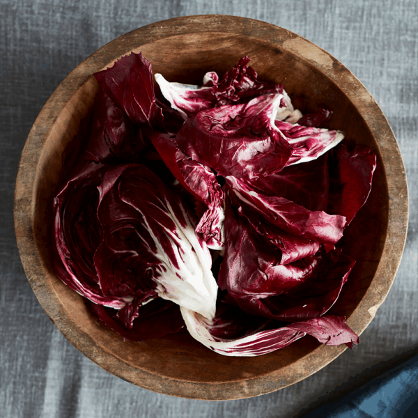 Chicory Red - Image 2