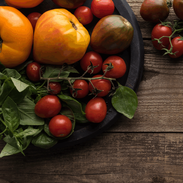 English Heritage Tomatoes