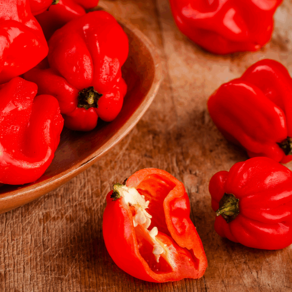 Scotch Bonnet Chillies - Image 2