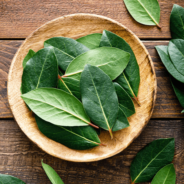 Bay Leaves - Image 2