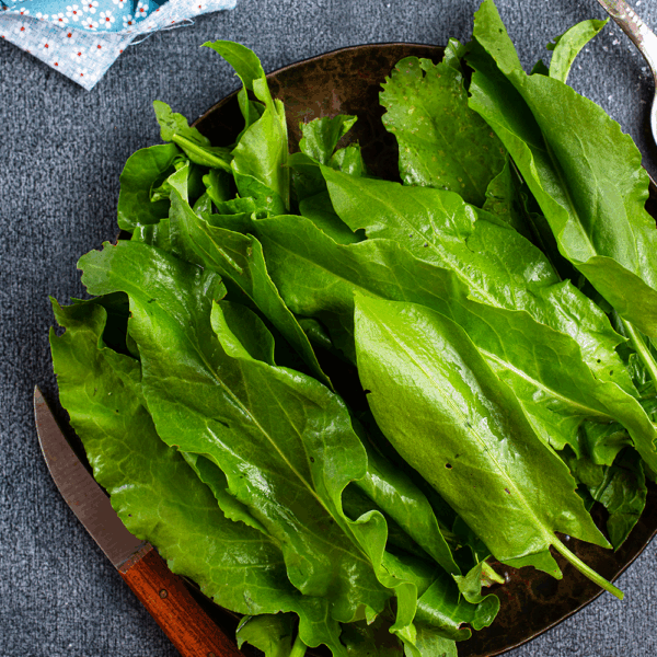 Fresh Sorrel - Image 2