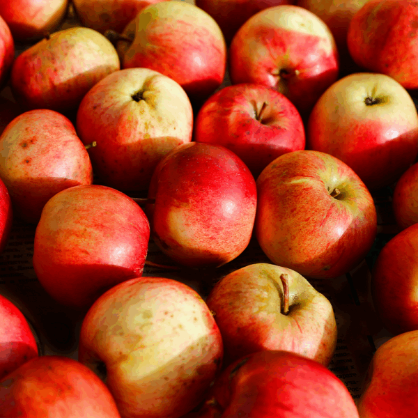 Red Braeburn Apples - Image 2