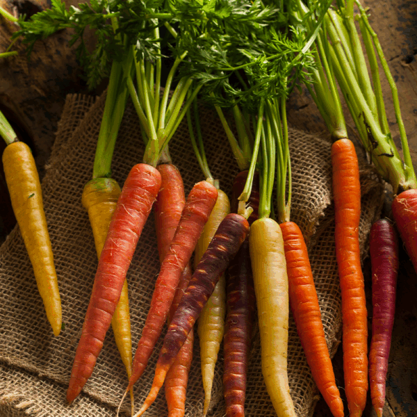 Carrots Mixed Heritage with Tops