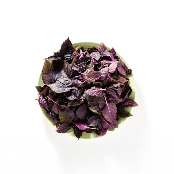 Micro Red Basil - Image 2