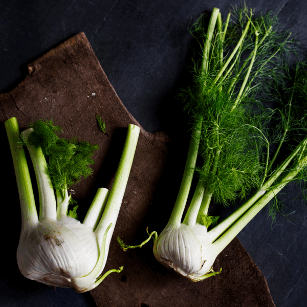 Fennel