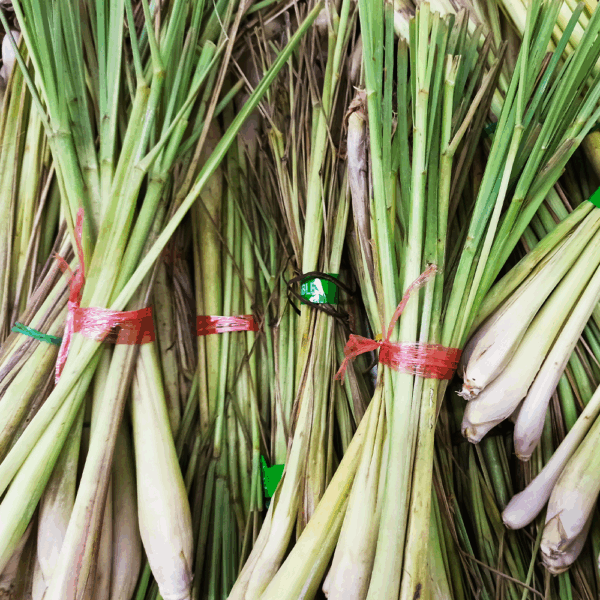 Lemon Grass
