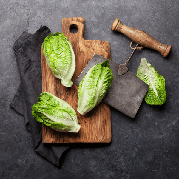 Cos Lettuce - Image 2