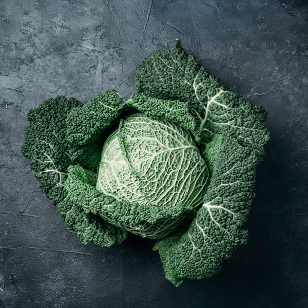 Savoy Cabbage Medium