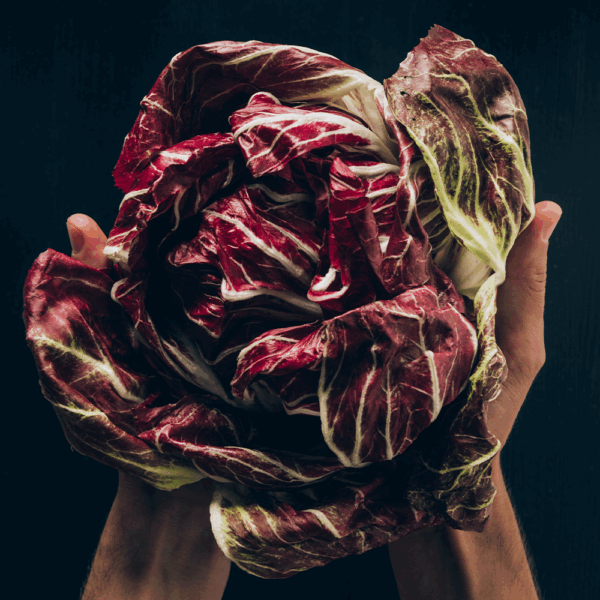 Radicchio - Image 2