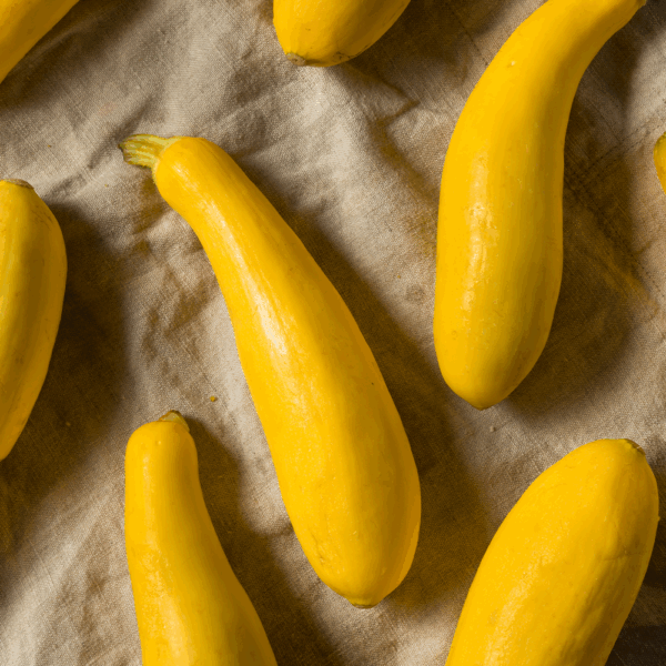 Courgettes Yellow - Image 2