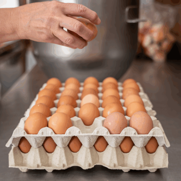 Silverthorne Large Eggs Free Range
