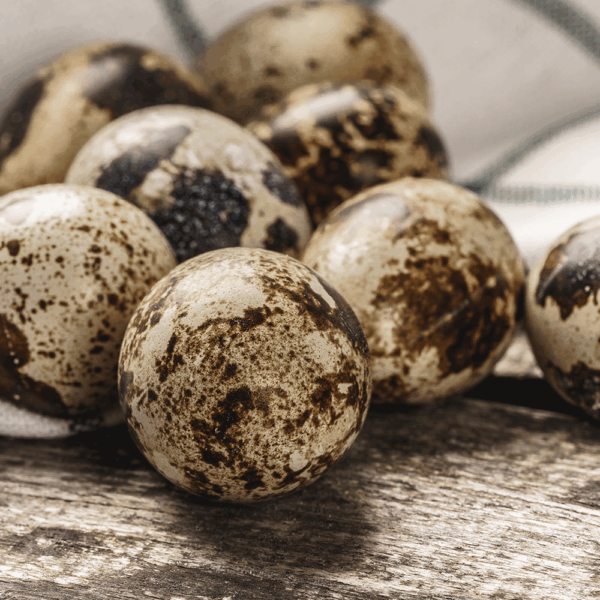 Quail Eggs