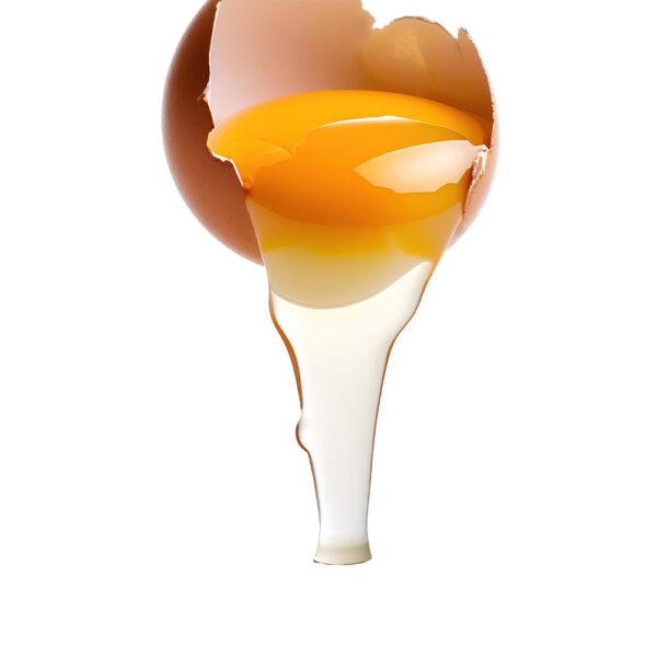 Liquid Egg White - Image 2