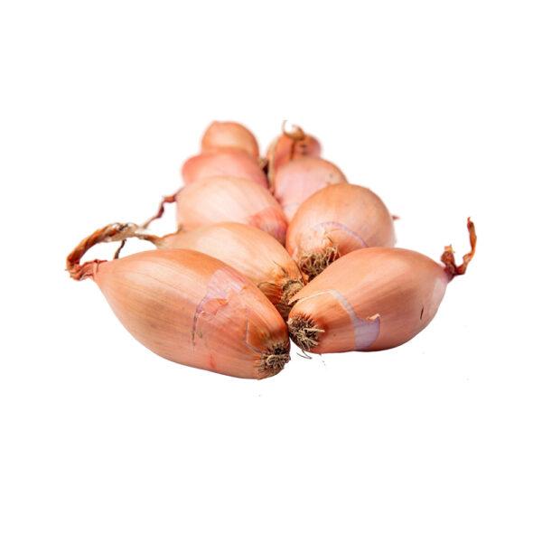 Long Shallots - Image 2
