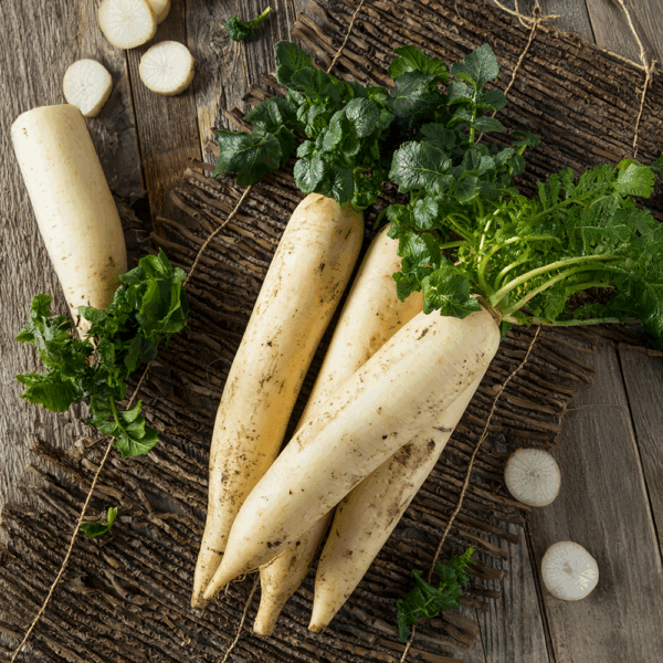 Mooli (White Radish)