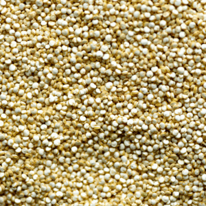 Quinoa