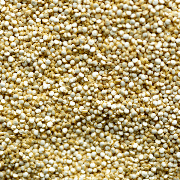 Quinoa
